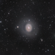 Messier 94, or M94, a distant spiral galaxy. (Nicolas Outters)